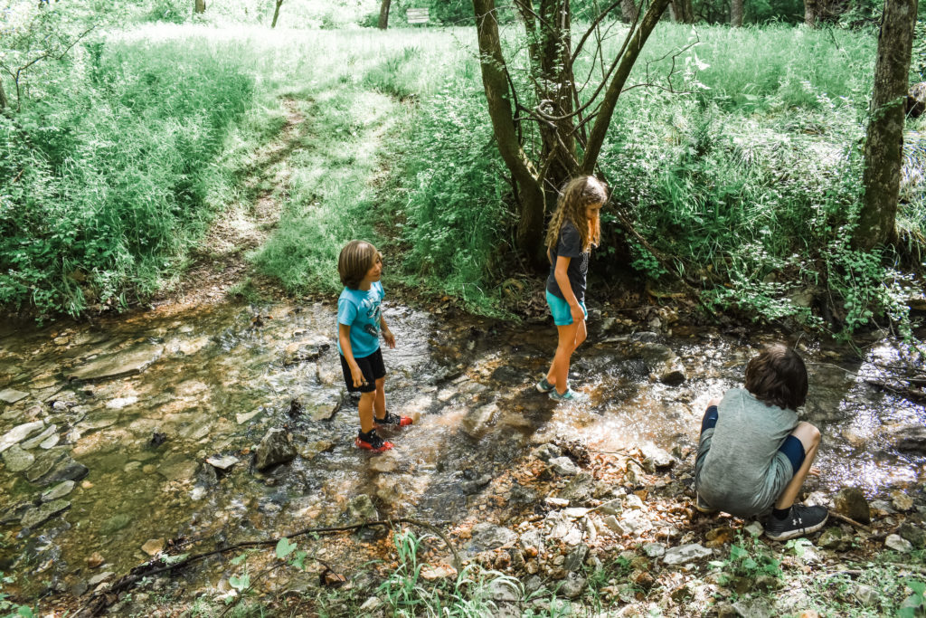 Three kids in playing a creek while they are on a hike with their family. They are playing the water & don't care about getting wet at all.